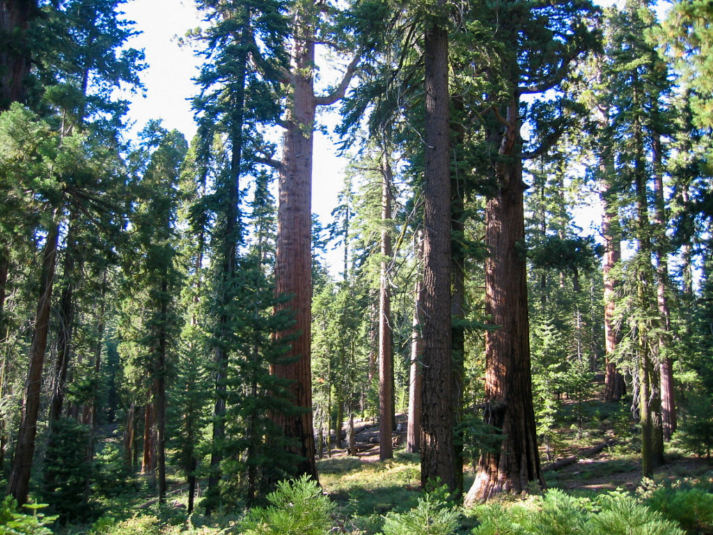 12 USA 2008 fabien et leslie 187